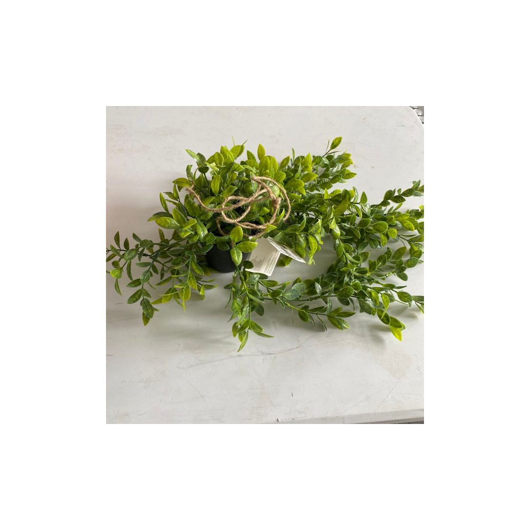 Kunstig hængeplante Jasmin – 40 cm – Home