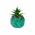 Små planter