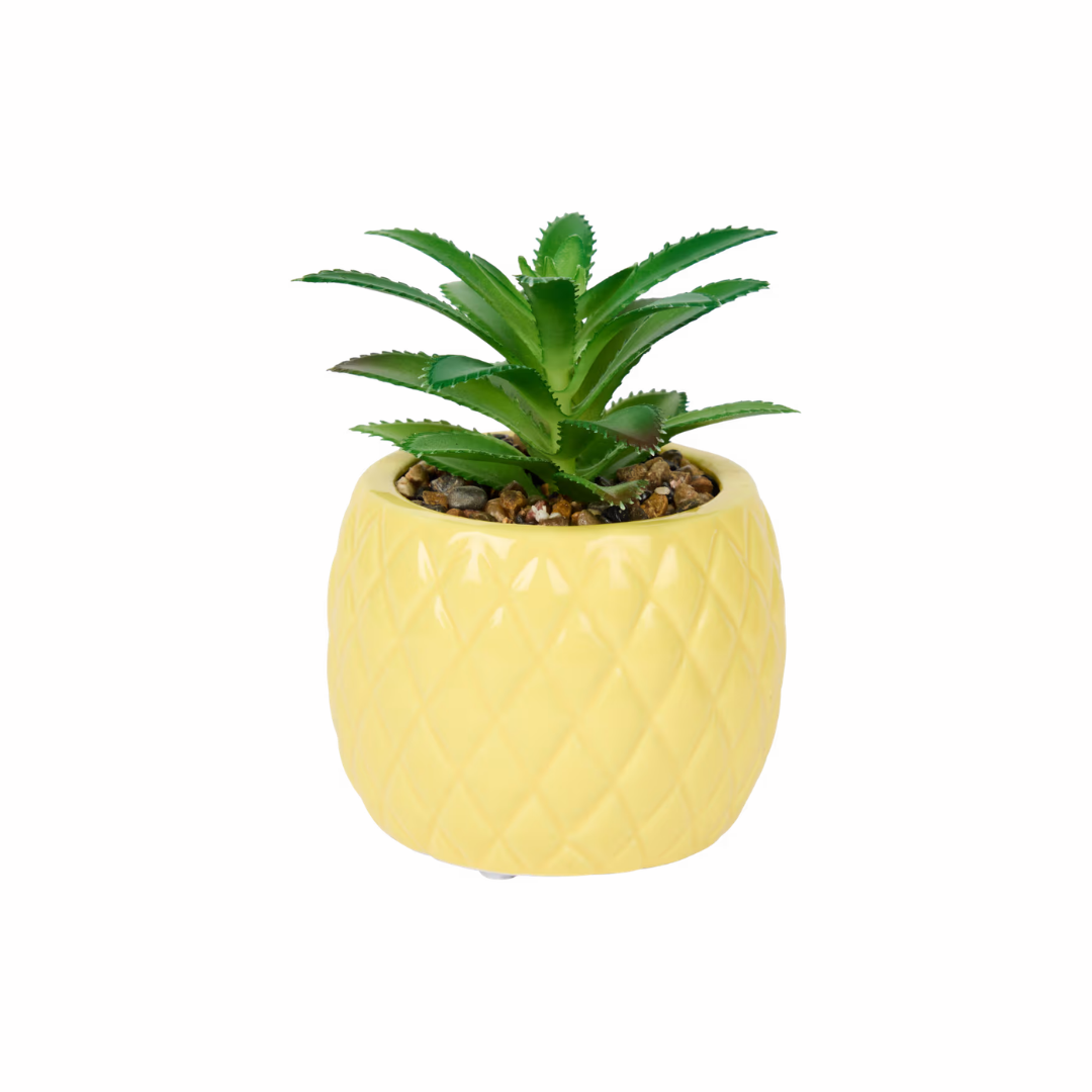 Små planter