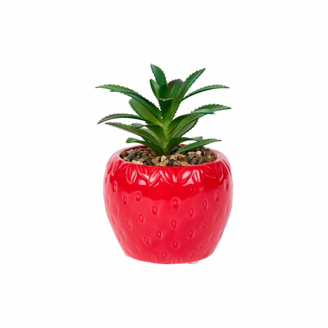 Små planter