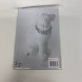 Transparent magnet akryl ramme - 10x15cm