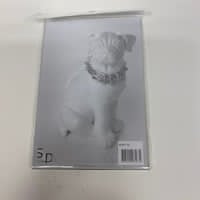 Transparent magnet akryl ramme - 10x15cm